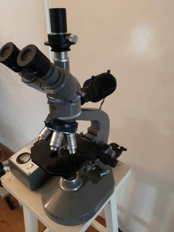 Olympus FH achromatic compound beschikbaar voor biedingen