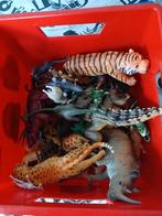 Dinosaurus en andere dieren speelgoed, Ophalen of Verzenden, Zo goed als nieuw, Jongen of Meisje