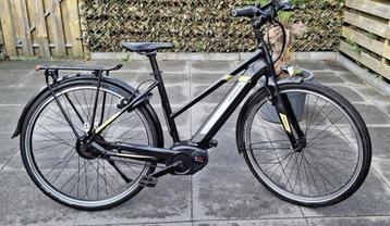 PEGASUS TECARO EVO - Bosch Performance CX motor - Nuvinci ✅ beschikbaar voor biedingen