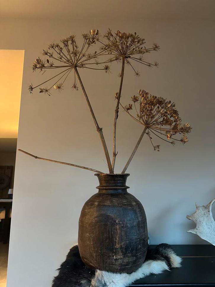 Houten pot met berenklauw, Huis en Inrichting, Woonaccessoires | Vazen, Zo goed als nieuw, Overige kleuren, Minder dan 50 cm, Overige materialen