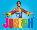 DVD Joseph Musical – Nederland, Alle leeftijden, Verzenden, Zo goed als nieuw