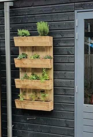 De verticale tuin beschikbaar voor biedingen