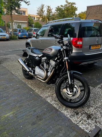 Harley davidson xr1200  beschikbaar voor biedingen