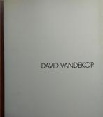 David Vandekop, Ophalen of Verzenden, Zo goed als nieuw, Schilder- en Tekenkunst