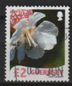 Guernsey Michel 1178, Postzegels en Munten, Postzegels | Europa | UK, Ophalen of Verzenden, Gestempeld