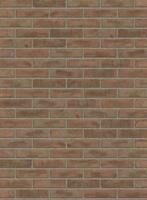 Baksteen Reno Maasbruin VB (Rijswaard), Ophalen, Nieuw, Bakstenen