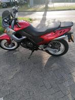 Aprilia pegaso 650 ie, Motoren, Motoren | Aprilia, Particulier, Toermotor
