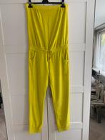 Nieuwe jumpsuit merk SUGERFREE maat L citroengeel, Kleding | Dames, Jumpsuits, Maat 38/40 (M), Geel, Nieuw, Ophalen of Verzenden