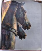 Treasures of Venice 1963 Editions d'Art Albert Skira Venetië, Boeken, Ophalen of Verzenden, Gelezen