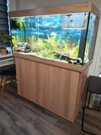 Juwel aquarium  met kast 121cm binnen en buiten filter, Ophalen, Zo goed als nieuw, Gevuld zoetwateraquarium