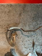 Derbi uitlaat rvs, Ophalen, Uitlaat