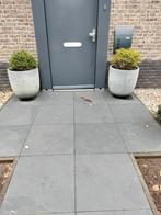 Te koop 2 plantenbakken inclusief Ilex bollen en trolley, Ophalen, Gebruikt, Rond