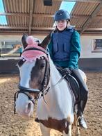 Bijrijder aangebode/Bijrijdpaard gezocht, Dieren en Toebehoren, Paarden en Pony's | Verzorgingsproducten, Ophalen of Verzenden