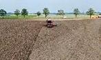 landbouwgrond voor mais teelt te huur gevraagd, Ophalen of Verzenden