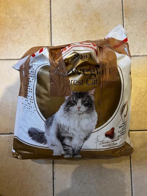 Noorse Boskat / Norwegian Forest Cat Royal Canin bijna vol, Dieren en Toebehoren, Dierenvoeding, Kat, Ophalen