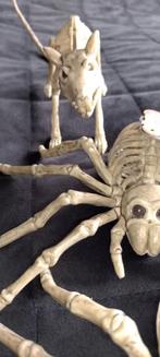 Dieren skeletten, Ophalen of Verzenden, Nieuw, Beeldje of Figuurtje