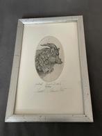 Oude gravure van een zwijn in lijst, Ophalen of Verzenden