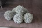 Bal Helichrysum 7 stuks Partij, Ophalen of Verzenden, Nvt, Nvt, Nieuw