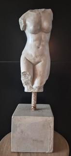 Vrouwen buste venus beeld, Antiek en Kunst, Kunst | Designobjecten, Ophalen of Verzenden