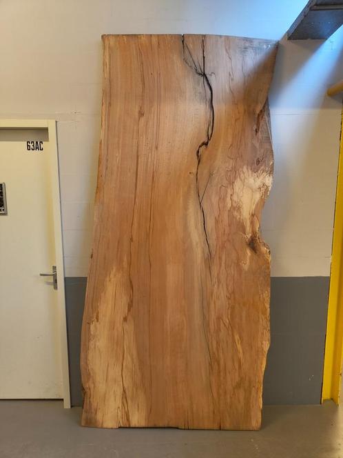 Unieke lokale boomstam-tafelblad van een beuk uit Wassenaar, Huis en Inrichting, Tafels | Eettafels, Nieuw, 100 tot 150 cm, 200 cm of meer