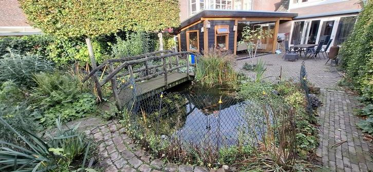 Gratis mooie vijver, Tuin en Terras, Vijvers, Zo goed als nieuw, Ophalen