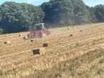 Gezocht stro los van het land, Dieren en Toebehoren, Dierenvoeding, Ophalen