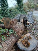 Brandhout ruim 6 m³, 6 m³ of meer, Ophalen, Overige houtsoorten, Stammen