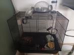 Hamsterkooi met heel veel toebehoren, Gebruikt, Minder dan 75 cm, Ophalen, Minder dan 60 cm