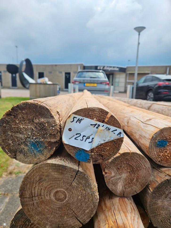Houten palen / boomstammen, Doe-het-zelf en Verbouw, Hout en Planken, Gebruikt, Overige typen, Overige houtsoorten, 300 cm of meer