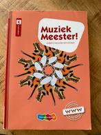 Rinze van der Lei - Muziek Meester!, Rinze van der Lei; Lieuwe Noordam; Frans Haverkort, Ophalen of Verzenden, Zo goed als nieuw