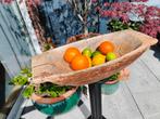 Mooie geleefde houten schaal/fruit bak, Ophalen