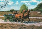 DWINGELOO Heide Paard en Wagen Klederdracht, Verzenden, 1960 tot 1980, Gelopen, Drenthe