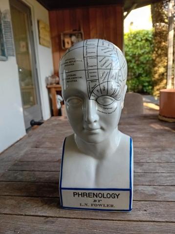Phrenologi  by  L.N.Fowler beschikbaar voor biedingen