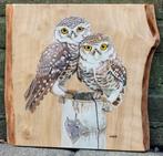 Schilderij steenuilen op hout voor huis en tuin, Ophalen of Verzenden, Nieuw
