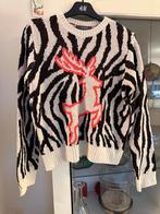 Zebra Trui met Rendier - Maat XS Primark, Kleding | Dames, Truien en Vesten, Ophalen of Verzenden, Zo goed als nieuw, Maat 38/40 (M)