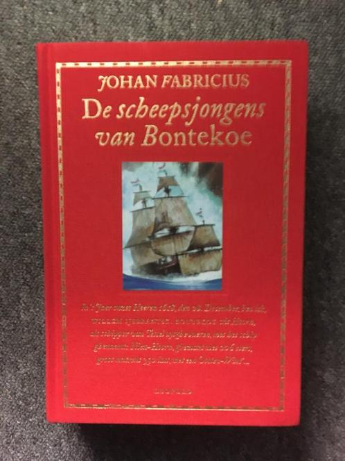 De scheepsjongens van Bontekoe ; door Johan Fabricius, Boeken, Kinderboeken | Jeugd | 13 jaar en ouder, Zo goed als nieuw, Fictie