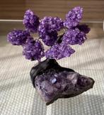 Amethist boompje (hele mooie kwaliteit!), Ophalen of Verzenden, Mineraal