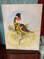 Prachtig vogeltjes schilderij> olieverf, Antiek en Kunst, Ophalen of Verzenden