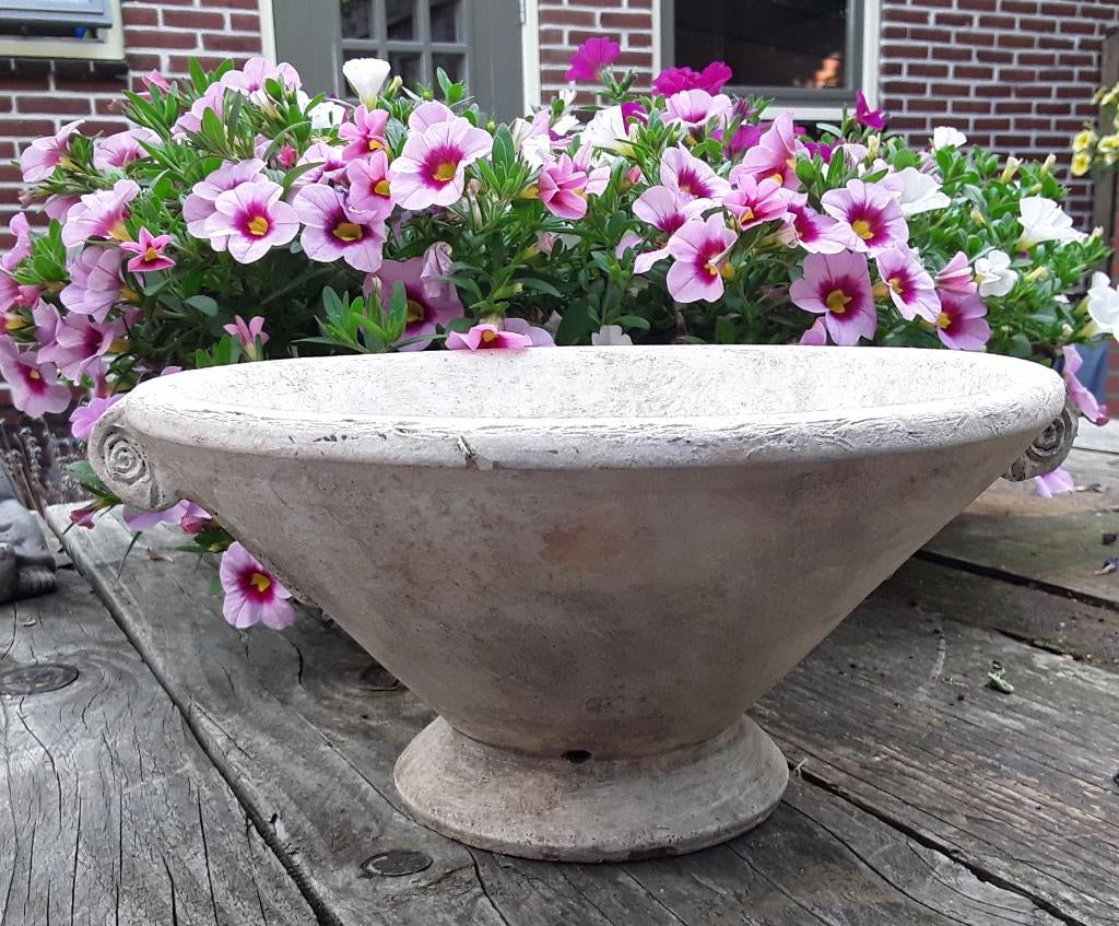 Kleischaal - bloemenschaal - plantenschaal - mooie geleefde, Gebruikt, Schaal, Rond, Ophalen of Verzenden