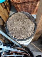 Aquariumgrint, Ophalen of Verzenden, Gebruikt, Plant(en), Steen of Hout