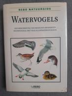 REBO Natuurgids: Watervogels, Ophalen of Verzenden, Gelezen, Vogels, Onbekend