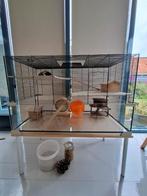 Ruime kooi voor hamster of cavia, Kooi, Zo goed als nieuw, Hamster, Ophalen