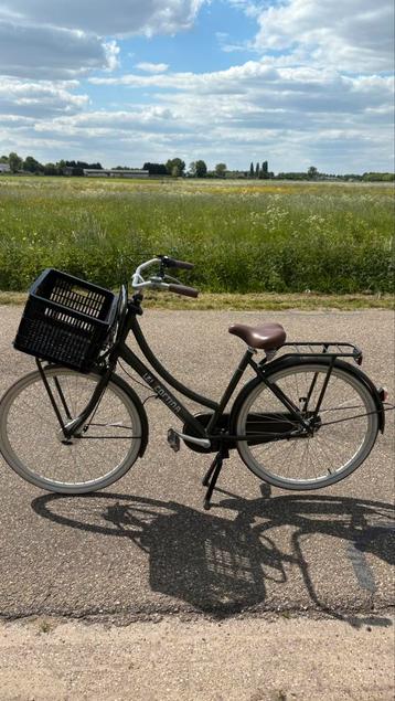 Cortina fiets groen bieden mogelijk beschikbaar voor biedingen