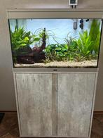 Aquarium  55 40 80 COMPLEET aquatlantis, Ophalen, Zo goed als nieuw, Gevuld zoetwateraquarium