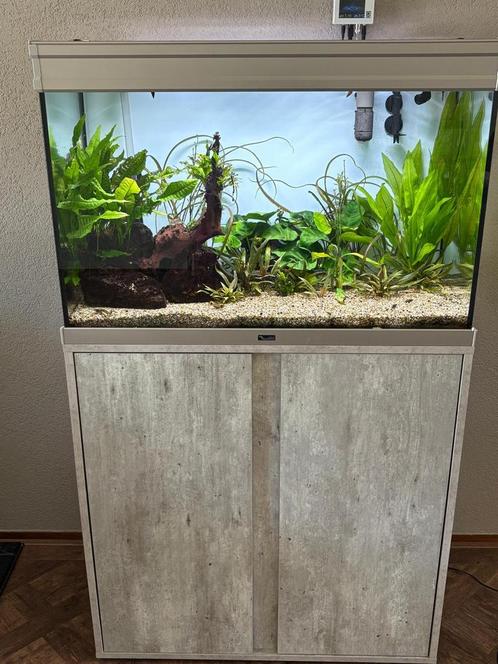 Aquarium  55 40 80 COMPLEET aquatlantis, Dieren en Toebehoren, Vissen | Aquaria en Toebehoren, Zo goed als nieuw, Gevuld zoetwateraquarium