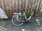 Giant elektrische fiets dubbele accu, Fietsen en Brommers, Fietsaccessoires | Fietsaccu's, Ophalen, Zo goed als nieuw