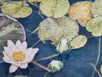 Hollandse School (XX) 'GD' - Stilleven met waterlelies, Antiek en Kunst, Kunst | Schilderijen | Klassiek, Ophalen