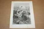 Antieke gravure - Groep reigers - 1877 !!, Gebruikt, Ophalen of Verzenden, Voor 1940