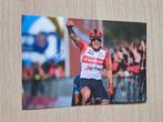 Foto Mads Pedersen met handtekening (print) # Tour de France, Verzenden, Nieuw, Overige sporten, Overige typen