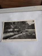 DEN HAAG. HERTENKAMP. 1942, Verzamelen, Ansichtkaarten | Nederland, Ophalen of Verzenden, 1940 tot 1960, Zuid-Holland